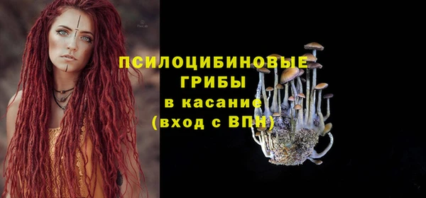 дурь Абаза